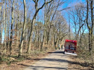 FW-Schermbeck: 30 Meter große Eiche drohte umzukippen