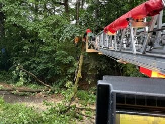 FW-Schermbeck: Baum auf Fahrbahn