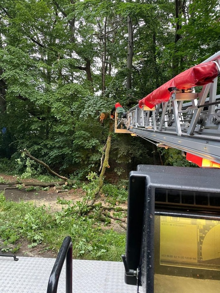 FW-Schermbeck: Baum auf Fahrbahn