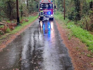 FW-Schermbeck: Baum auf Strom- und Telefonleitung