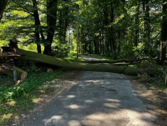 FW-Schermbeck: Baum blockiert Fahrbahn