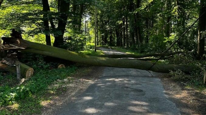 FW-Schermbeck: Baum blockiert Fahrbahn