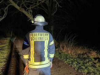 FW-Schermbeck: Ein weiterer Sturmschaden für den Löschzug Schermbeck