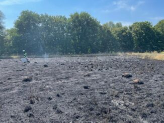 FW-Schermbeck: Flächenbrand an der Maassenstraße