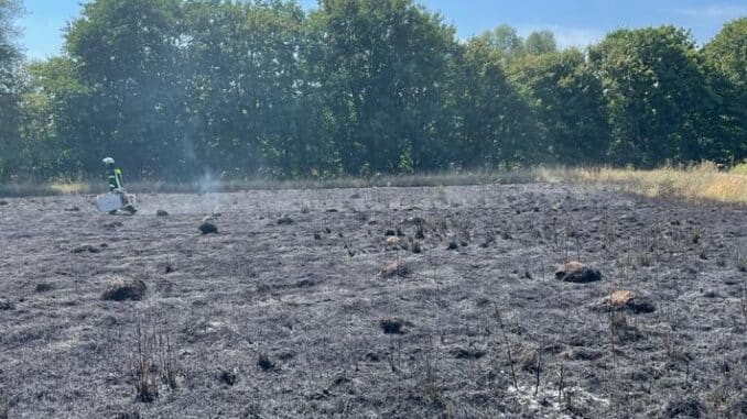 FW-Schermbeck: Flächenbrand an der Maassenstraße