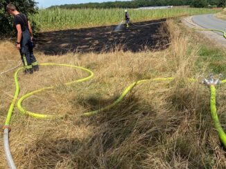 FW-Schermbeck: Grasfläche brannte am Drievweg