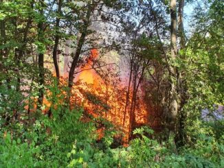 FW Stuttgart: Brennende Gartenhäuser in Stuttgart