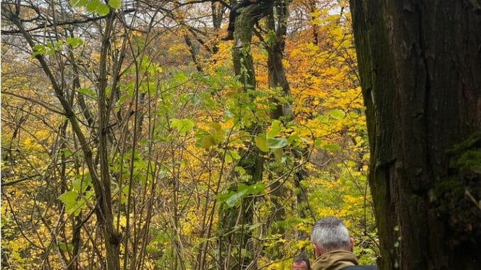 FW Stuttgart: Hund aus acht Metern Höhe gerettet