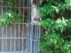FW Stuttgart: Tierrettung - Katze aus Notlage befreit