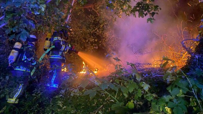 FW-WRN: FEUER_2 - LZ1 - brennt Baum
