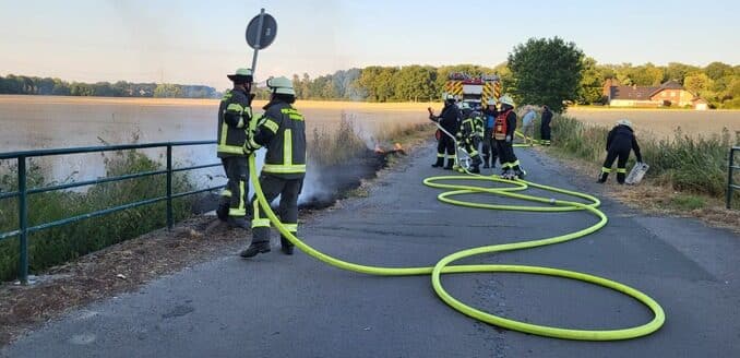 FW-WRN: FEUER_2 - LZ1 - brennt Feld