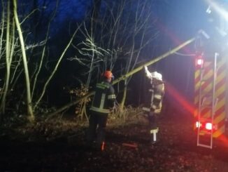 FW-WRN: Löschgruppe Langern entfernt umgestürzten Baum