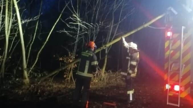 FW-WRN: Löschgruppe Langern entfernt umgestürzten Baum