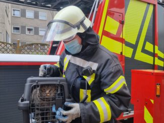 FW-WRN: TH_1 - LZ1 - Katze steckt in Dachrinne fest / 4. OG