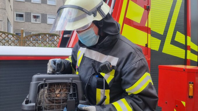 FW-WRN: TH_1 - LZ1 - Katze steckt in Dachrinne fest / 4. OG