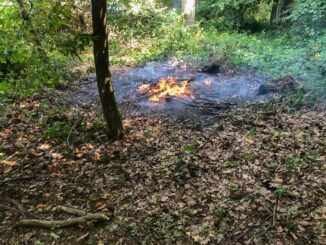 FW Wachtberg: Vegetationsbrände am Wachtberg und am Rodderberg