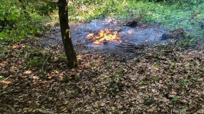 FW Wachtberg: Vegetationsbrände am Wachtberg und am Rodderberg