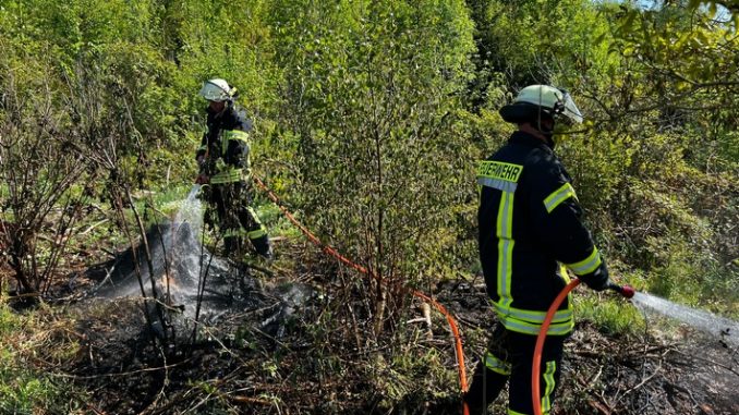 FW Wenden: Erneuter Wald- und Vegetationsbrand durch Fahrlässigkeit