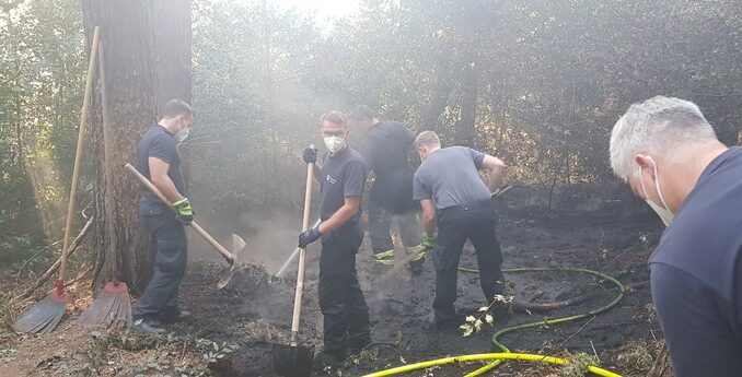 FW Witten: Folgemeldung Waldbrand