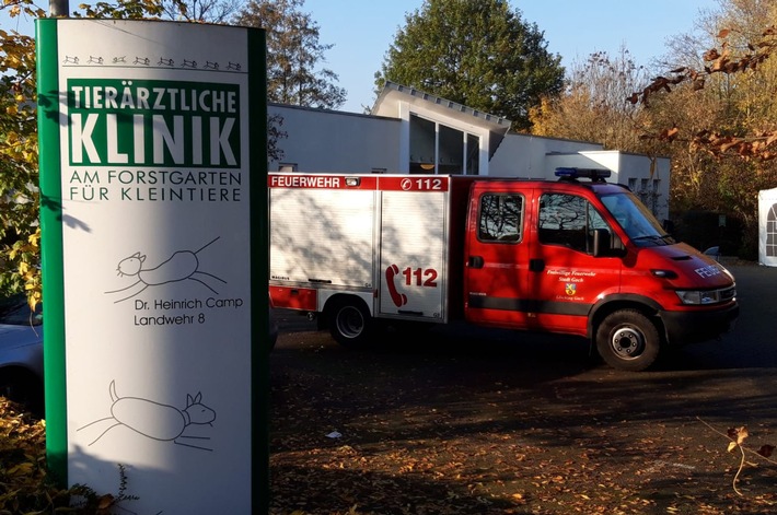 FF Goch: Hund verschluckt Stock