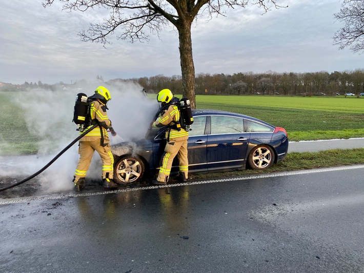 FW Alpen: Pkw-Brand