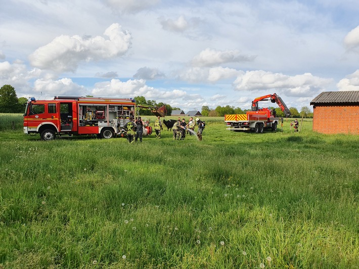 FW Bocholt: Feuerwehr rettet trächtige Kuh aus Güllekeller