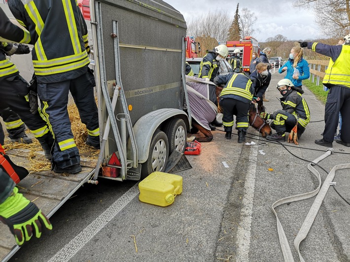 FW Dülmen: Feuerwehr befreit verunfalltes Pferd