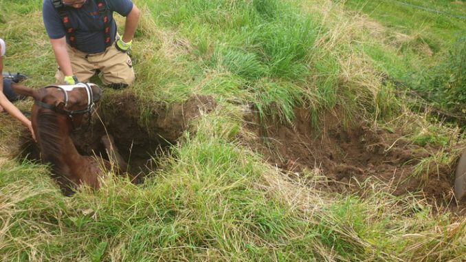 FW-GL: Hochwasserschäden sorgen für Reitunfall in Bergisch Gladbach-Herkenrath