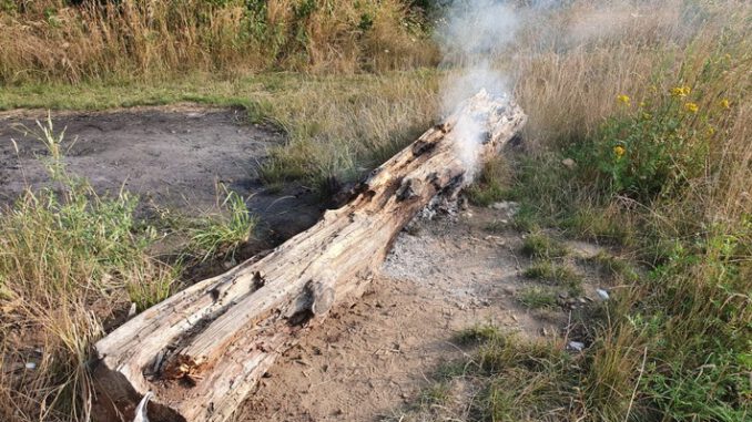 FW Helmstedt: Brennender Baumstumpf am Lappwaldsee
