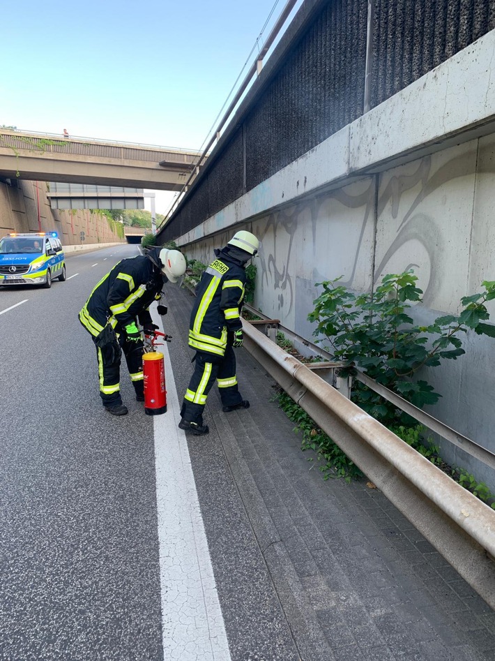 FW Königswinter: Kleinbrand auf B 42 Höhe Königswinter-Oberdollendorf alarmiert zahlreiche Feuerwehrkräfte
