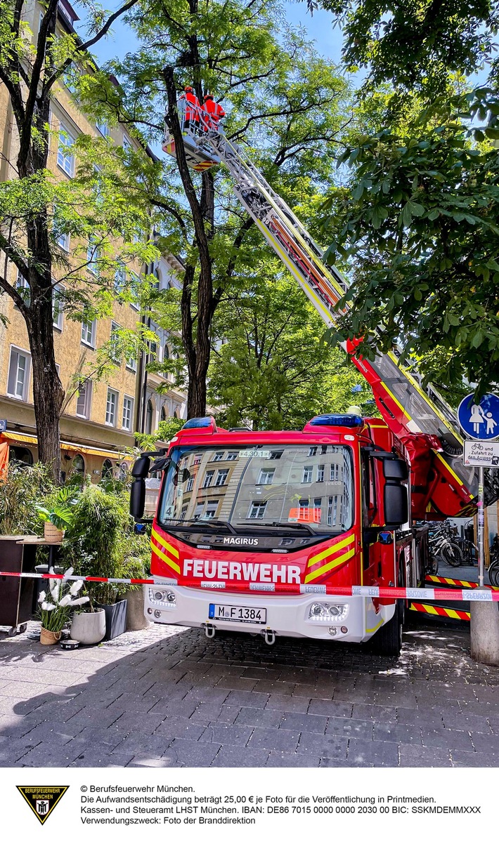 FW-M: 20 Meter Baum gefällt (Maxvorstadt)