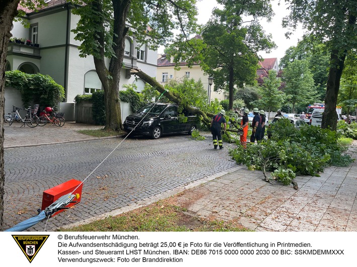 FW-M: Ast beschädigt mehrere Fahrzeuge (Neuhausen-Nymphenburg)