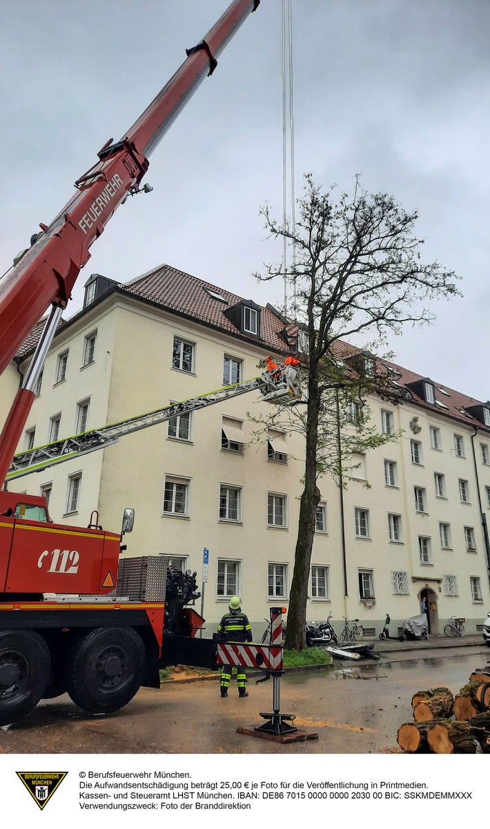 FW-M: Baum fällt auf Streifenwagen (Schwabing)