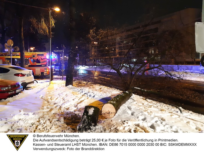 FW-M: Baum lehnt in Stromleitung (Maxvorstadt)