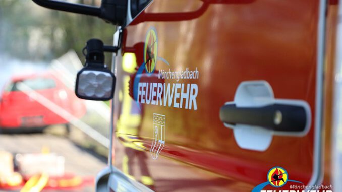 FW-MG: Madagaskarboa durch Feuerwehr gesichert