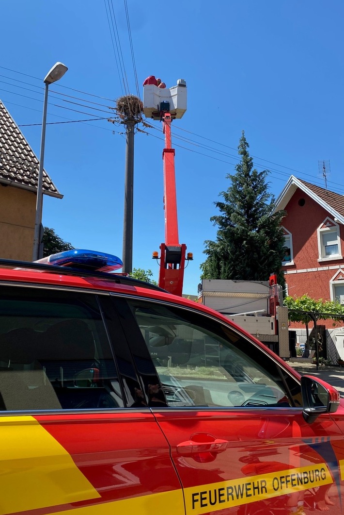 FW-OG: Storchentragödie in Zunsweier - Zwei Jungtiere tot im Nest