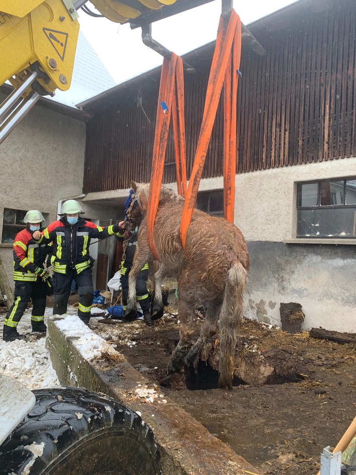 FW Weil der Stadt: Feuerwehr rettet Pferd aus Güllegrube