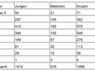 LFV-Sachsen: Jahreserhebung 2022 in der JF Sachsen