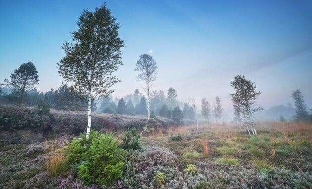 ++ Trockenheit und Hitzewellen bedrohen Klimaschützer Moore | #Trockenheit ++