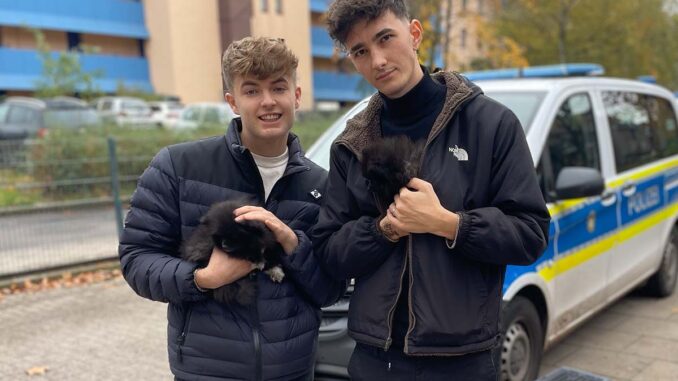 Influencer Nathan Goldblat und Lewinray decken mit PETA illegalen Welpenhandel auf