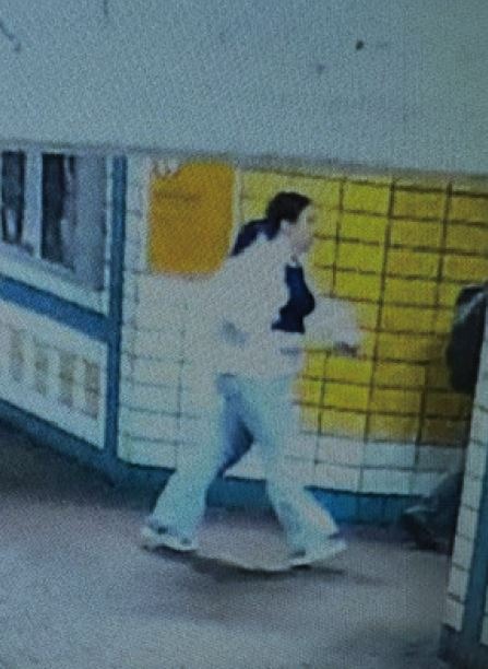 POL-SE: Norderstedt - Folgemeldung zur Öffentlichkeitsfahndung - Polizei sucht zusätzlich die Begleitperson der vermissten Kinder