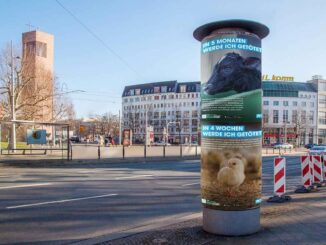 30 Jahre PETA: Plakataktion zum Jubiläum in 24 Städten