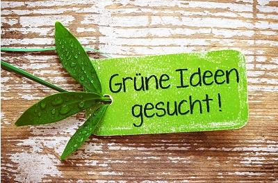 Stadtverwaltung-Wertheim-Gruene-Ideen-fuer-mehr-Nachhaltigkeit.jpg