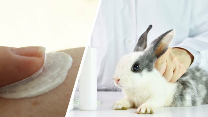 Tausende Tiere sollen für Sonnencreme getötet werden