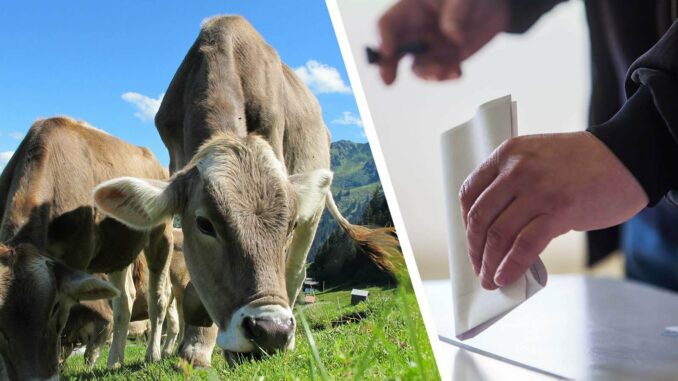 Tierschutz-Wahlprüfsteine für die Europawahlen 2024