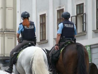 Polizeupferde