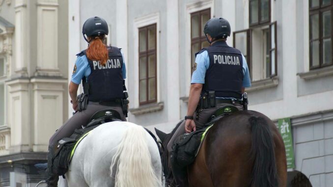 Polizeupferde