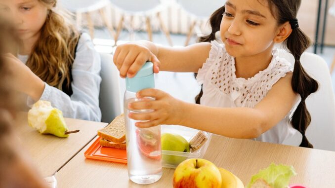 DGE: Vegane Schulverpflegung für mehr Tierwohl und Klimaschutz
