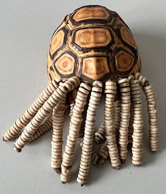 Sichergestellter Schildkrötenpanzer