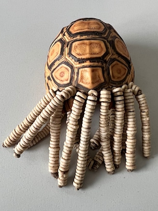 Sichergestellter Schildkrötenpanzer